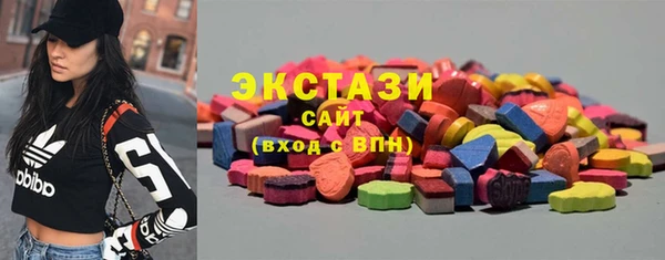 стаф Богородицк